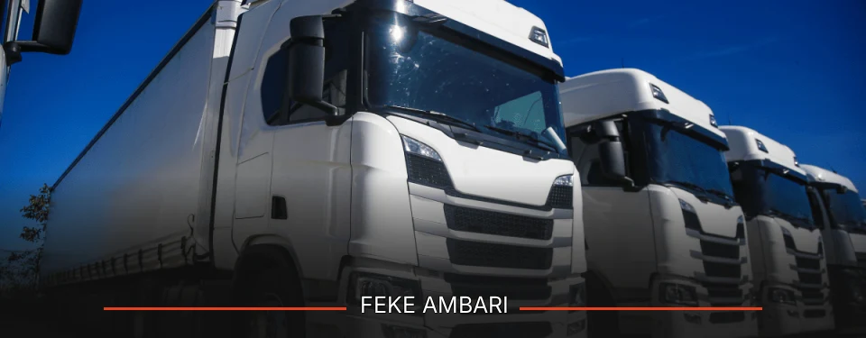 Feke Ambarı