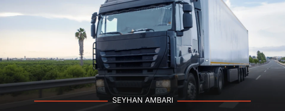 Seyhan Ambarı
